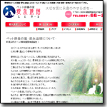 愛永遠瑠